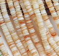 Shellperler  mønter ，4 mm，38 cm