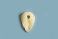 Blad, coral, ca. 11x7x3 mm, hvid, 4 stk.