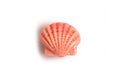 Muslingeskal, coral, ca. 10x11x5 mm, coralfarvet, 2 stk.