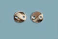 Mønt m/2 huller, ca. 6x0,8 mm, forsølvet med 925s, 2 stk.