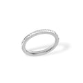 Plain Zirkonia Ring Steel